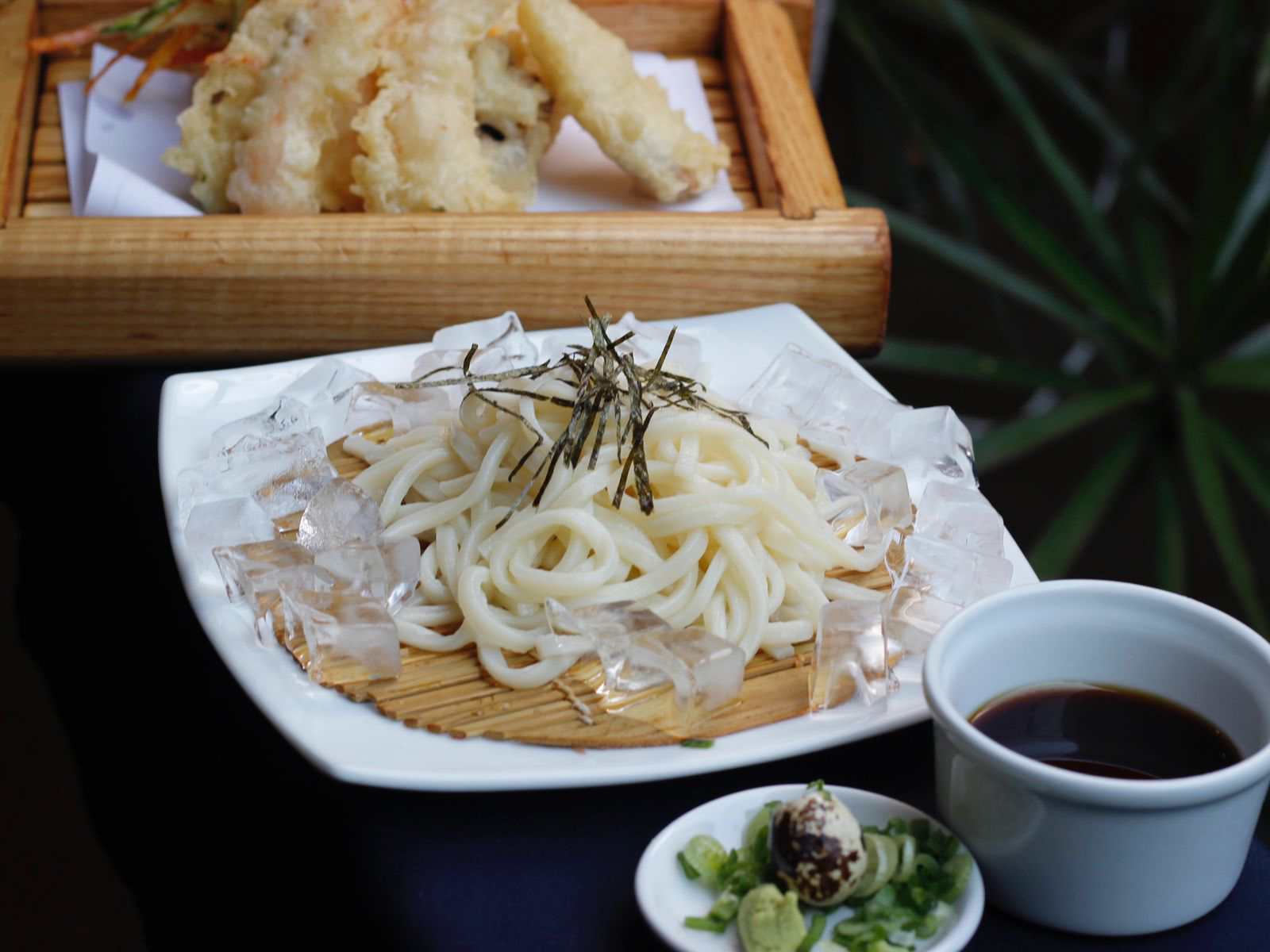 Tenzaru Udon